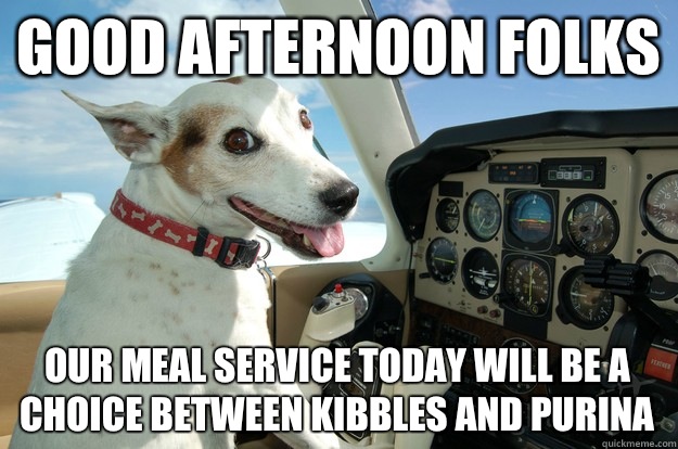 Good afternoon folks Our meal service today will be a choice between Kibbles and Purina  Co-Pilot Dog