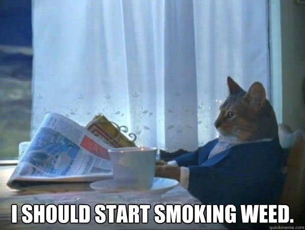  I SHOULD START SMOKING WEED.  morning realization newspaper cat meme