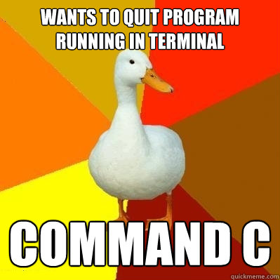 Wants to quit program running in terminal Command C  Tech Impaired Duck