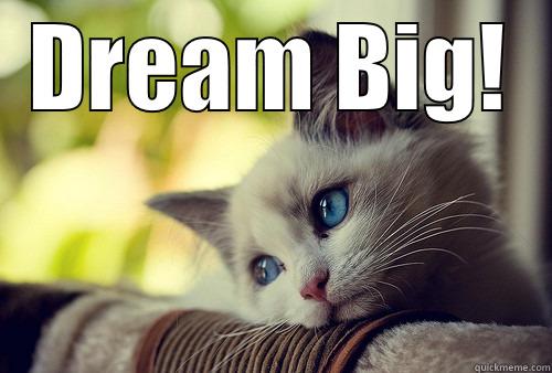 DREAM BIG!  First World Problems Cat
