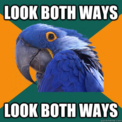 look both ways look both ways  Paranoid Parrot