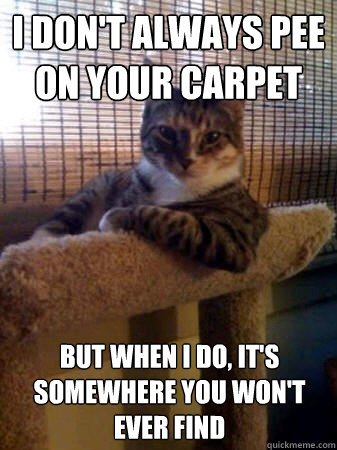 I don't always pee on your carpet but when I do, it's somewhere you won't ever find  The Most Interesting Cat in the World