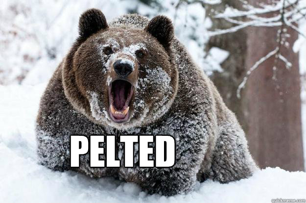  PELTED  Dubstep Bear