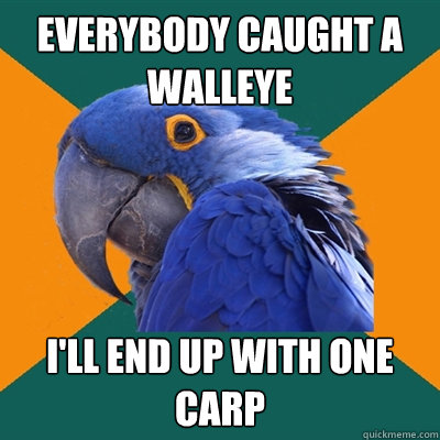 Everybody caught a walleye I'll end up with one carp  Paranoid Parrot