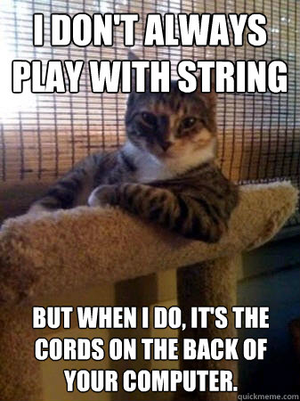 I don't always play with string but when I do, it's the cords on the back of your computer.  The Most Interesting Cat in the World