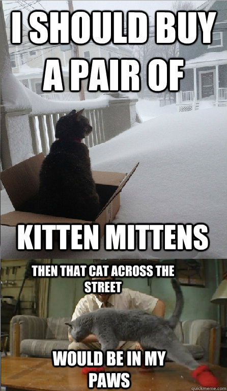 I should buy a pair of  kitten mittens then that cat across the street  would be in my paws  - I should buy a pair of  kitten mittens then that cat across the street  would be in my paws   Misc