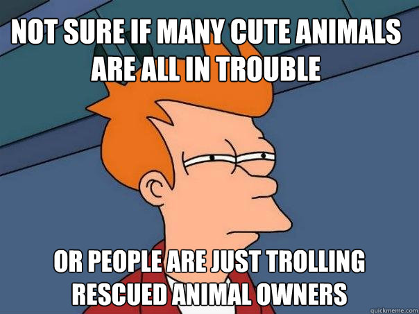 Not sure if many cute animals are all in trouble Or people are just trolling rescued animal owners  Futurama Fry