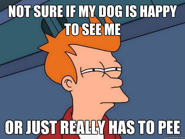 Not sure if my dog is happy to see me or just really has to pee  Futurama Fry