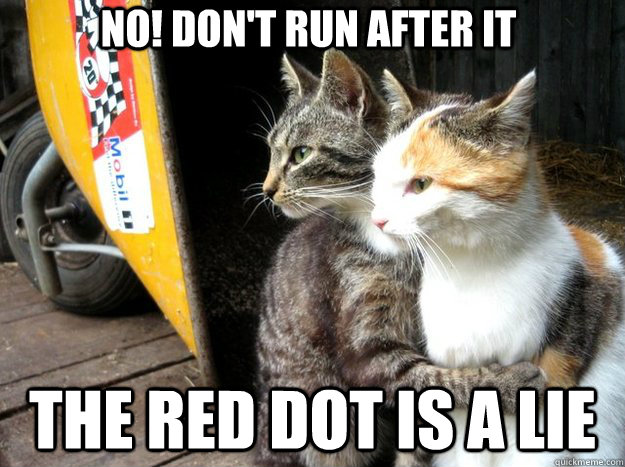 No! Don't run after it the red dot is a lie  Restraining Cat