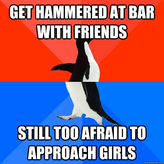 Get hammered at bar with friends still too afraid to approach girls  Socially Awesome Awkward Penguin