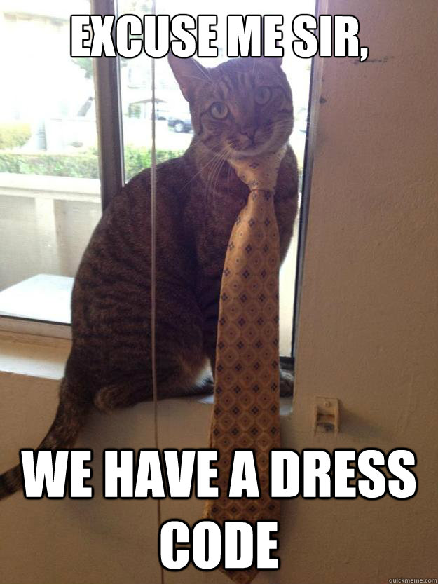 Excuse me sir, We have a dress code - Excuse me sir, We have a dress code  Good Looking Cat
