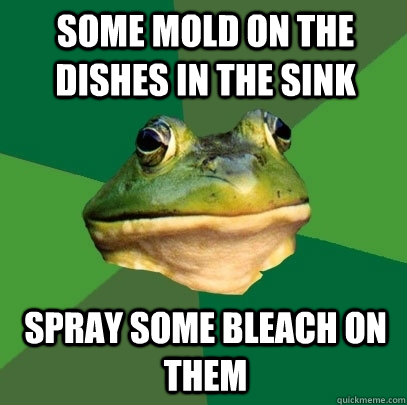 some mold on the dishes in the sink spray some bleach on them  Foul Bachelor Frog