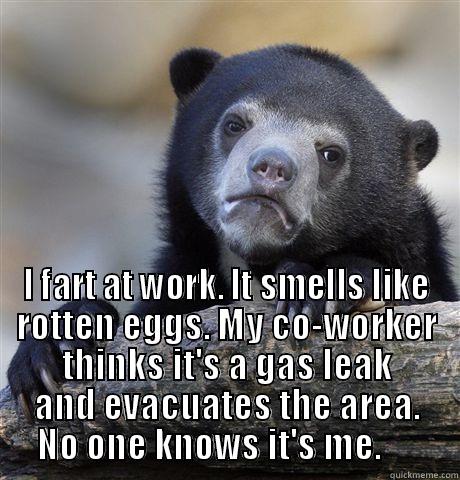  I FART AT WORK. IT SMELLS LIKE ROTTEN EGGS. MY CO-WORKER THINKS IT'S A GAS LEAK AND EVACUATES THE AREA. NO ONE KNOWS IT'S ME.      Confession Bear