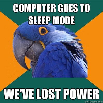 COMPUTER GOES TO SLEEP MODE WE'VE LOST POWER  Paranoid Parrot