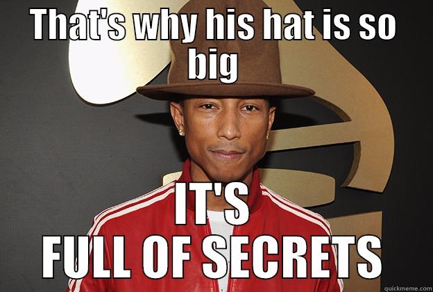 THAT'S WHY HIS HAT IS SO BIG IT'S FULL OF SECRETS Misc