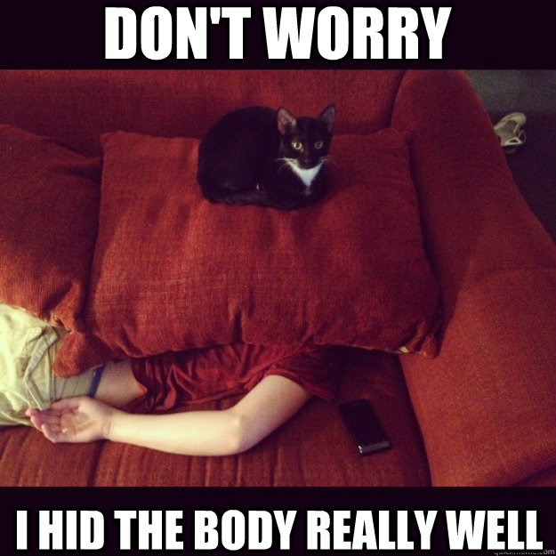 Don't Worry I hid the body really well  jealous cat