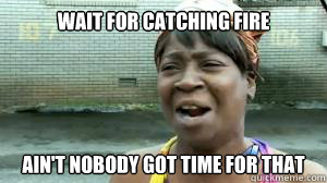 Wait for catching fire ain't nobody got time for that - Wait for catching fire ain't nobody got time for that  Catching Fire