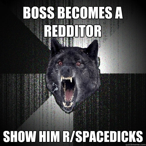 Boss becomes a redditor show him r/spacedicks  Insanity Wolf