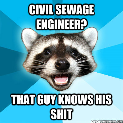 Civil Sewage Engineer? That guy knows his shit  - Civil Sewage Engineer? That guy knows his shit   Lame Pun Raccoon