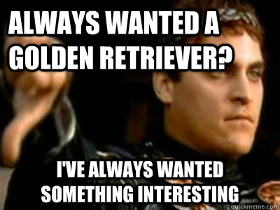 Always wanted a golden retriever? I've always wanted something interesting  Downvoting Roman