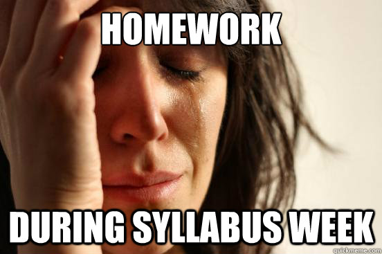 Homework During syllabus week  First World Problems