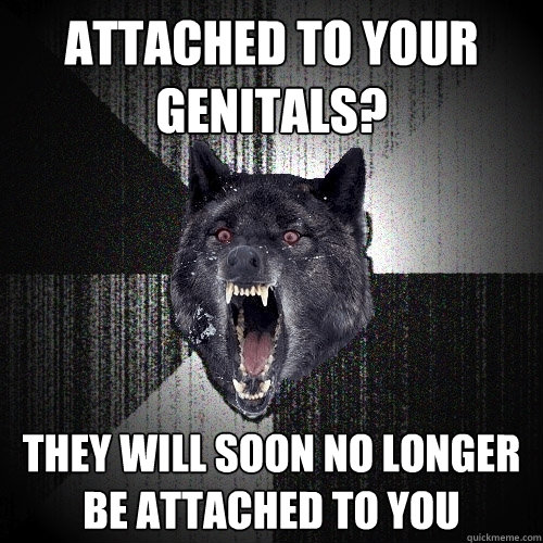 attached to your genitals? they will soon no longer be attached to you  Insanity Wolf
