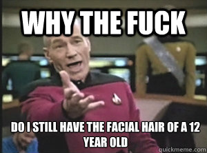 Why the fuck Do I still have the facial hair of a 12 year old - Why the fuck Do I still have the facial hair of a 12 year old  Annoyed Picard