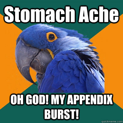 Stomach Ache OH GOD! MY APPENDIX BURST!  Paranoid Parrot