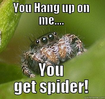 YOU HANG UP ON ME.... YOU GET SPIDER! Misunderstood Spider