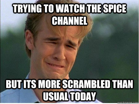 trying to watch the spice channel but its more scrambled than usual today - trying to watch the spice channel but its more scrambled than usual today  1990s Problems