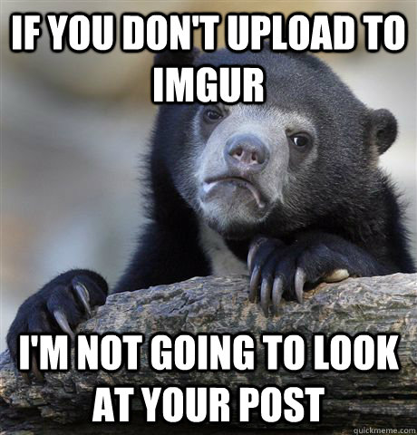 if you don't upload to imgur I'm not going to look at your post  Confession Bear