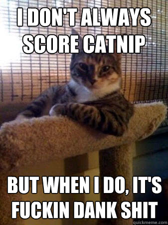 I don't always score catnip but when I do, it's fuckin dank shit  The Most Interesting Cat in the World