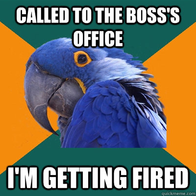 Called to the boss's office I'm getting fired  Paranoid Parrot