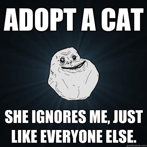 adopt a cat she ignores me, just like everyone else.  Forever Alone