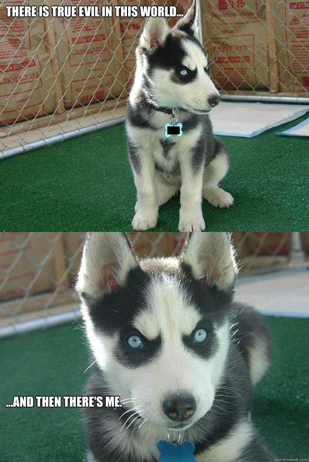 There is true evil in this world... ...and then there's me.  Insanity puppy