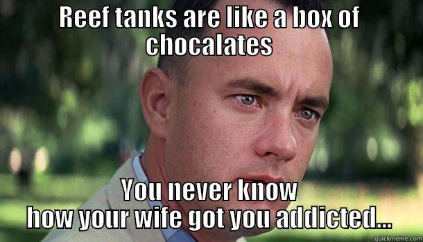 Reefs are like a box of chocolates - REEF TANKS ARE LIKE A BOX OF CHOCALATES YOU NEVER KNOW HOW YOUR WIFE GOT YOU ADDICTED... Offensive Forrest Gump