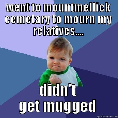 WENT TO MOUNTMELLICK CEMETARY TO MOURN MY RELATIVES.... DIDN'T GET MUGGED Success Kid