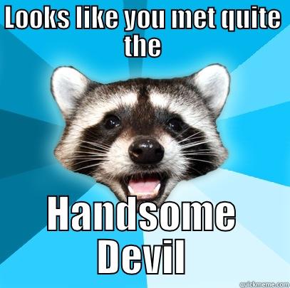 LOOKS LIKE YOU MET QUITE THE HANDSOME DEVIL Lame Pun Coon