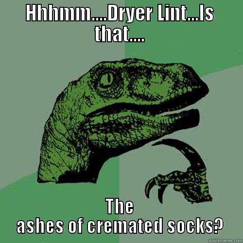 HHHMM....DRYER LINT...IS THAT.... THE ASHES OF CREMATED SOCKS? Philosoraptor
