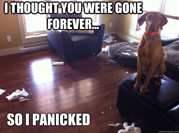 I thought you were gone forever... So I panicked - I thought you were gone forever... So I panicked  whistler