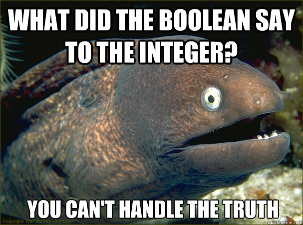 what did the Boolean say to the integer? you can't handle the truth - what did the Boolean say to the integer? you can't handle the truth  Bad Joke Eel