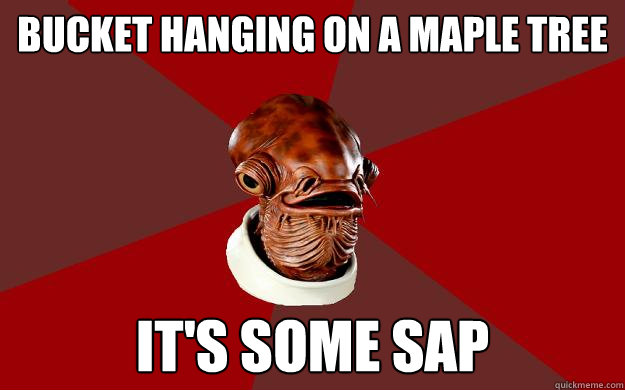 BUCKET HANGING ON A MAPLE TREE IT'S SOME SAP  Admiral Ackbar Relationship Expert