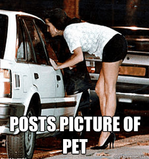  Posts picture of pet  Karma Whore