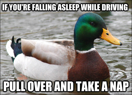 if you're falling asleep while driving pull over and take a nap  Actual Advice Mallard