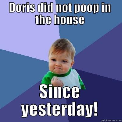 DORIS DID NOT POOP IN THE HOUSE SINCE YESTERDAY! Success Kid
