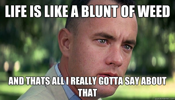 Life is like a blunt of weed and thats all i really gotta say about that  Offensive Forrest Gump