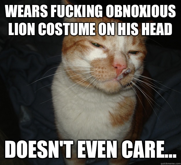 Wears fucking obnoxious lion costume on his head Doesn't even care...  Cool Cat Craig
