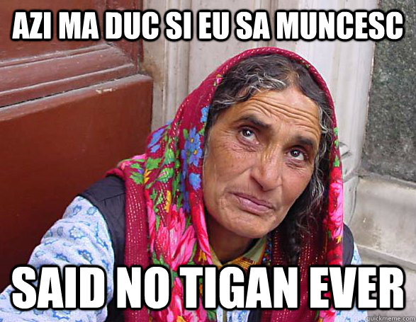 Azi ma duc si eu sa muncesc said no tigan ever  