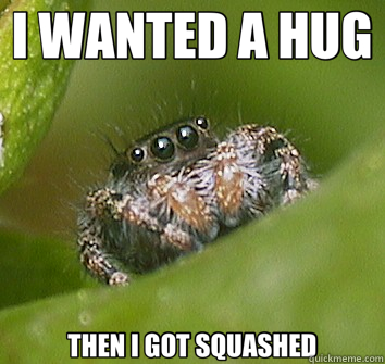 I WANTED A HUG THEN I GOT SQUASHED - I WANTED A HUG THEN I GOT SQUASHED  Misunderstood Spider