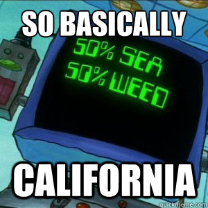 SO BASICALLY CALIFORNIA - SO BASICALLY CALIFORNIA  50 percent sea 50 percent weed